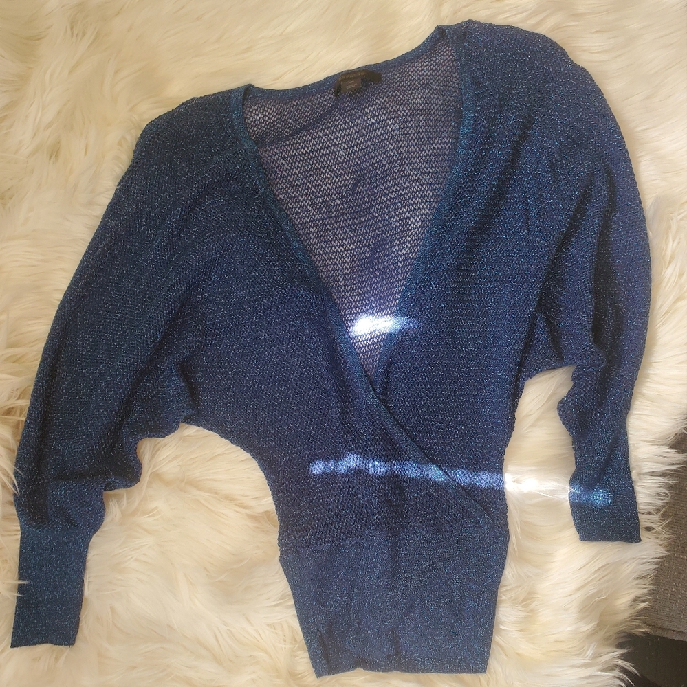 Express Blue Glitter Croquet Sweater Top